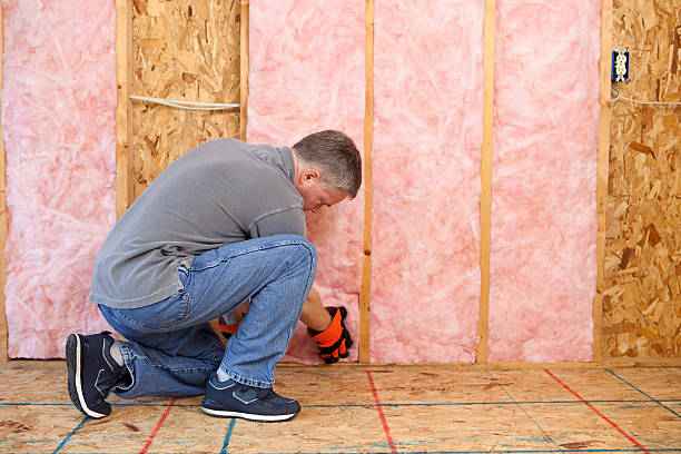 Best Cellulose Insulation in Sonoma, CA